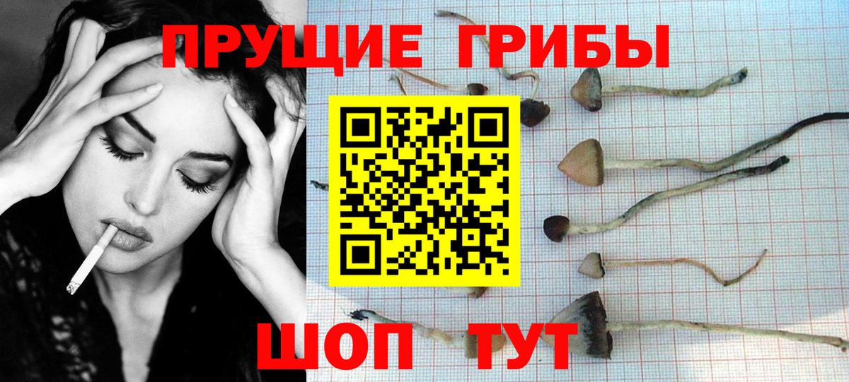 Псилоцибиновые грибы GOLDEN TEACHER Алатырь
