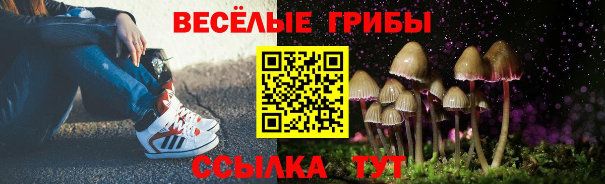 Алатырь  Псилоцибиновые грибы мицелий  Вход с VPN 